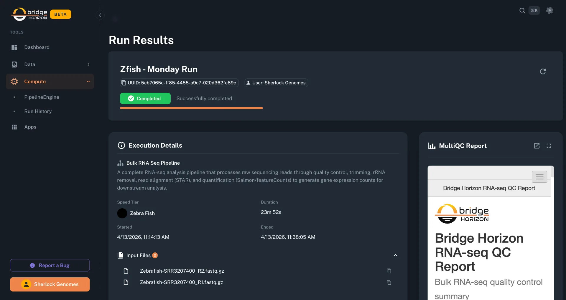 Run Results screenshot of the Bridge Horizon genomics workspace